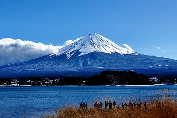 Full Day Mount Fuji Private Tour with English Speaking Guide