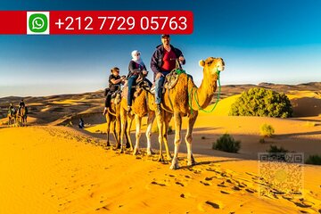 Merzouga Camel Ride & Overnight Desert Camps