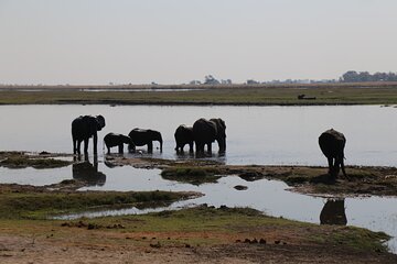 3 Days Guided Tour in Zimbabwe, Zambia and Botswana