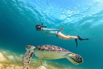 Waikiki Turtle Canyon Snorkeling Adventure