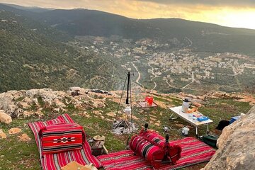 Full Day History Tour to Jerash and Ajloun Castle