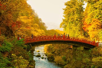 Nikko Tour by Private Car and English Speaking Driver