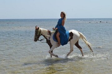1-Hour Horse Riding in Nabq With Transfer – Sharm El Sheikh