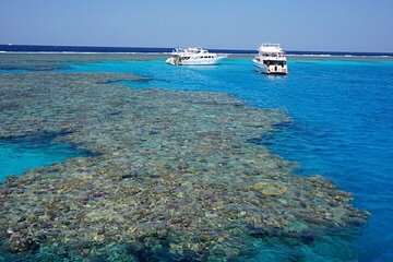 Coral Garden Snorkeling and Diving tour with Lunch - Marsa Alam