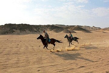 Experience Camel or Horse Ride with Transfers – Sharm El Sheikh