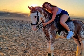 Experience Horse Ride Adventure in the Desert - Hurghada