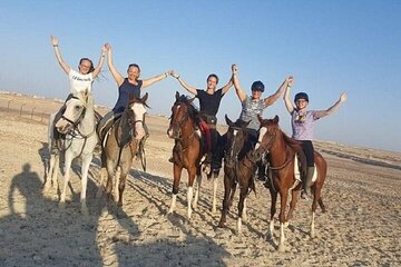 Camel or Horse Riding 2 Hour in Egypt's Desert – Sharm El Sheikh