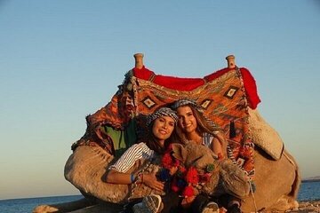 1 Hour Horse or Camel Desert Ride - Sharm El Sheikh