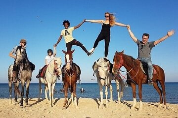 Enjoy a desert horse riding adventure & transfer-Sharm El Sheikh.