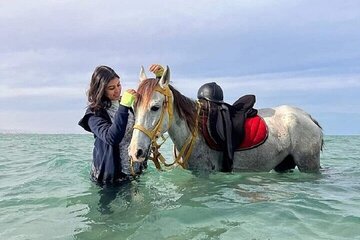 2 Hour Camel or Horse Ride in Nabq Bay from Sharm El Sheikh