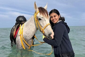 Swimming by Horse 3 Hours ,Beach, Desert & Dinner - Hurghada