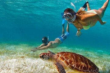 SNORKELING (Private Beach Tour)Montego Bay