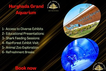 2 Hours Red Sea Wonders Tour at Hurghada Grand Aquarium