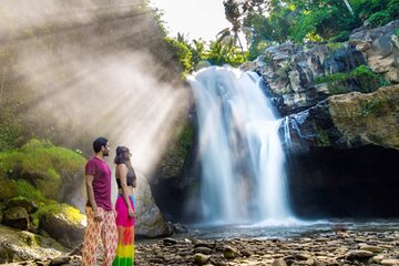 Bali : Monkey Forest, Rice terrace, temple & secluded Waterfall