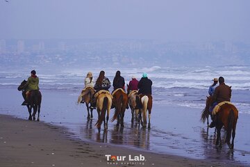 Sunset Horseback Ride on Ritoque Dunes & Beach +BBQ All-Inclusive