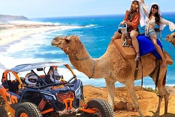  Camel Ride, UTV, and The Arch Tour with Lunch & Tequila Tasting!