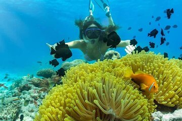 Full Day Private Snorkeling and East Bali