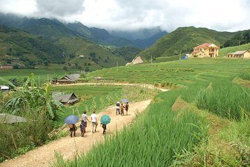 Sapa Trekking and Homestay Overnight 2 Days 1 Night