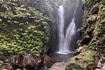 Twin Waterfalls Private Tour in Bali