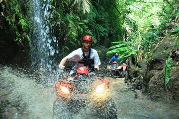 Ubud ATV Ride through River Jungle Rice Fields Puddles