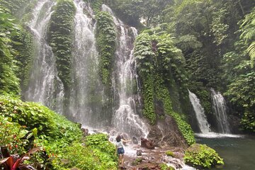 Fountain of Youth Private Waterfalls Tour