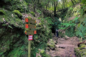 Caldeirão Verde Levada (PR 9) - Guided Madeira Levada Walk