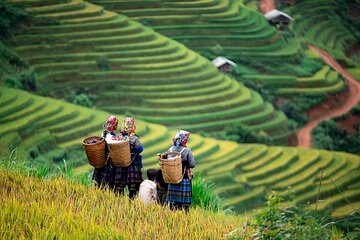 Charming Vietnam: Mai Chau Full Day Group Tour with Hiking