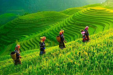 Timeless Charm Mai Chau Vietnam: 2 Days 1 Night Group Tour