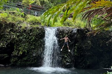 Road to Hana Private Half-Way Tour