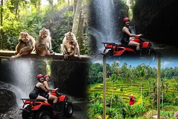 Waterfall ATV Ride and Ubud Tour