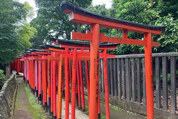 Nezu Shrine and Yanaka backstreet walking tour by Storyteller