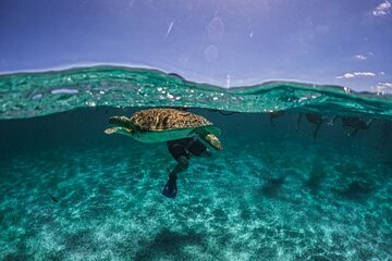 Small Group Semi Private Akumal and Cenote Snorkeling Tour