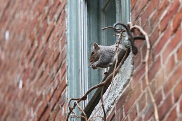 Philadelphia Walking Tour: A Lot of Colonial Nonsense