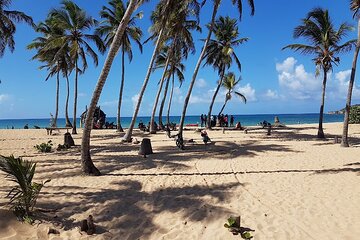 Private Dominican Safari from Punta Cana