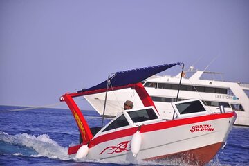 Private Speedboat trip to Dolphin House & Parasailing - Hurghada