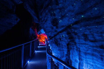 Ruakuri Cave and Hamilton Gardens Private Day Tour from Auckland