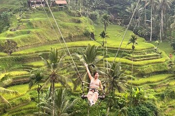 Full-Day Tour Highlights of Ubud