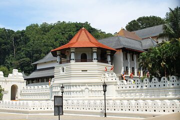 Kandy and Tea Tasting Day Trip from Colombo