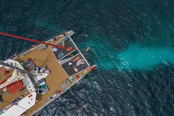 Catamaran Trip in Alcudia