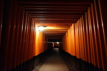 Kyoto Night Walking Guided Tour at Fushimi Inari Shrine