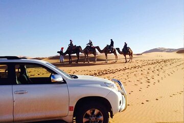 1 Night Camel Trek Bivouac From Merzouga