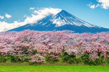 Mt Fuji Private Day Tour from Tokyo by Car or Van