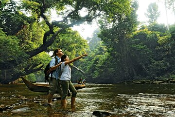 Taman Negara National Park Day Excursion with Canopy Walk from KL