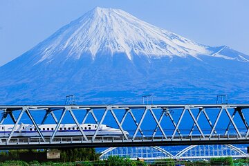 Mt. Fuji and Hakone Private Tour with Bullet Train Return