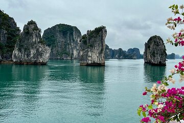 Explore Ninh Binh and Bai Tu Long Bay 2 Days 1 Night Tour