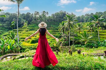 Best of Ubud Private Day Tour