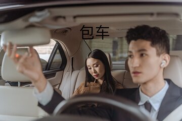 Amsterdam a Private Transfer to or from Ams Airport (中文/en)