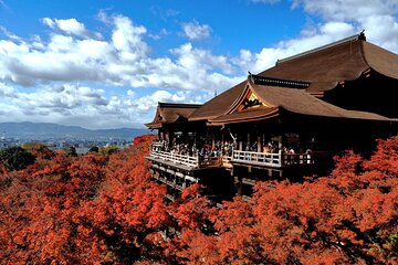 From Osaka/Kyoto: Kyoto UNESCO World Heritage Sites 1Day Bus Tour