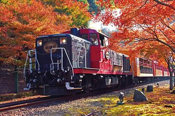 Kyoto Sagano Romantic Train with Autumn Leaves Bus Tour