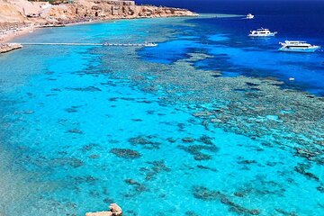 Ras Mohamed by Bus & Snorkeling and Magic Lake In Sharm El Sheikh